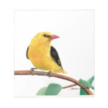 Gold Finch Scratch Pads
