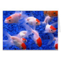 Gold Fish cards by OLANartist Gold Fish cards