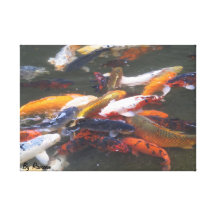 Gold Fish Stretched Canvas Print