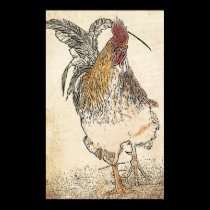 Gold Laced Cockerel posters
