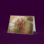 Gold-Laced Wyandotte Hen