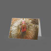 Gold-Laced Wyandotte Hen cards