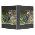 Gold laced wyandotte pullet binders by dorenemlorenz Gold laced wyandotte pullet binders