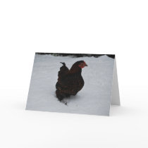 Gold laced Wyandotte trekking through Snow! Card