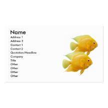 Gold Lemon Severum Cichlids Profile Card Business Card Template