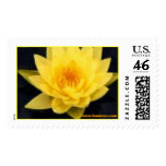 Gold Medal, www.buumon.com postage