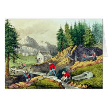 Gold Mining in California Cards