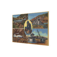 Gold Mining in California - Quarz, Dredge Canvas Prints