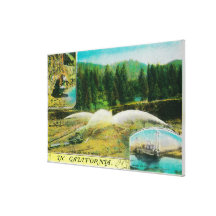 Gold Mining in California StateState Stretched Canvas Print