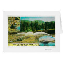 Gold Mining in California StateState Card