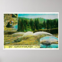 Gold Mining in California StateState Posters
