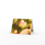 Gold Ornament With Lights Cards