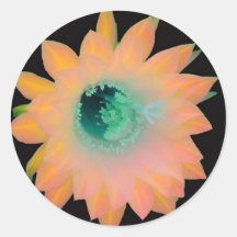 GOLD PEACH AQUA FLORAL BLOOM STICKER