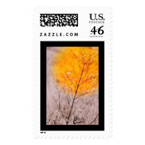 Gold postage
