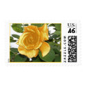 gold rose postage