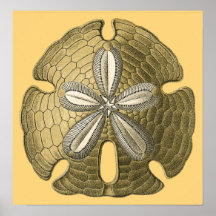 Gold Sand Dollar Poster Print