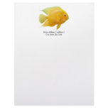 Gold Severum Cichlid Letterhead
