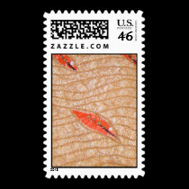 gold soul postage
