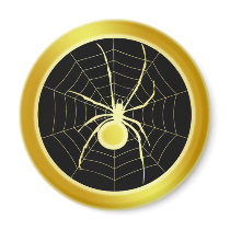 GOLD SPIDER AND WEB MAGNET