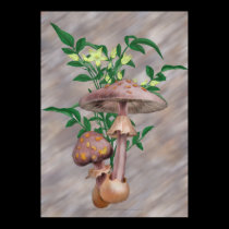 Gold Spotted Mushrooms and Yellow Star Flowers posters