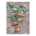 Gold Spotted Mushrooms and Yellow Star Flowers posters