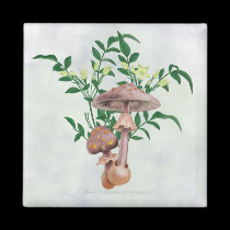 Gold Spotted Mushrooms Star Flowers Magnet magnets