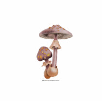 Gold Spotted Mushrooms, Star Flowers Sculpture photo sculptures