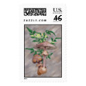 Gold Spotted Mushrooms, Star Flowers Stamps