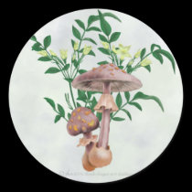 Gold Spotted Mushrooms, Star Flowers Stickers stickers