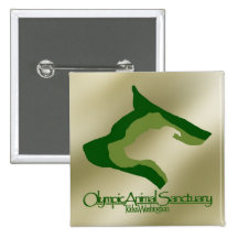 Gold Square Pins