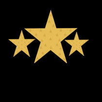 Gold Star Petite Ladies T-shirt by MarciaCox Gold Star Petite Ladies T-shirt