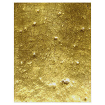 Gold stone Flyer