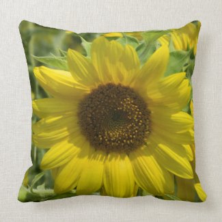 Gold Sunflower Pillow