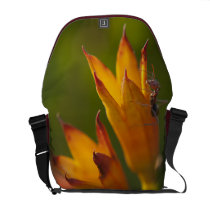 Golden Afternoon Courier Bag