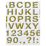 Golden Alphabet Custom Flyer