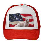 Golden America Hat