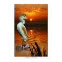 "GOLDEN" Art Prints & Posters by RavenSpiritPrints "GOLDEN" Art Prints & Posters