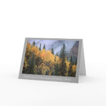 Golden Aspens cards by tierraphoto Golden Aspens cards