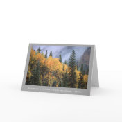 Golden Aspens Card