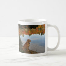 Golden Autumn at the Lake Coffee Mugs