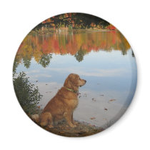 Golden Autumn at the Lake Refrigerator Magnets