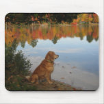 Golden Autumn at the Lake Mouse Mats
