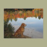 Golden Autumn at the Lake
