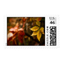 Golden Autumn Season Stamps