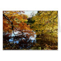 Golden Autumn Trees card