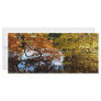 Golden Autumn Trees Rack Cards