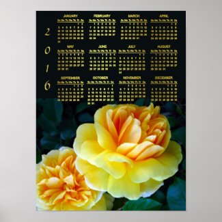 Golden Beauties 2016 Calendar Poster