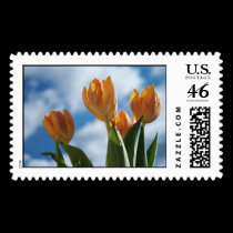 Golden Beauties postage by kokobaby Golden Beauties postage