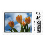 Golden Beauties Postage Stamp