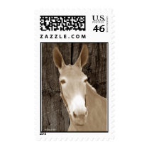 Golden Beauty Postage Stamp